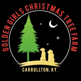 Golden Girl's Christmas tree farm 