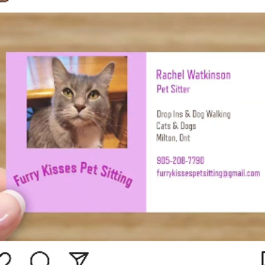 Furry Kisses Pet Sitting 