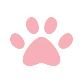 Pawsitive Vibes Pet Sitting 